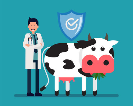 Veterinarian and cow . Agriculture concept. Animal antibiotic protection