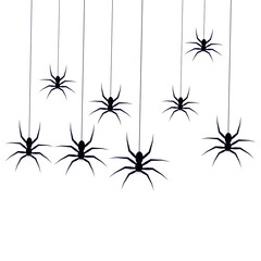 Hanging spiders for decoration and covering on the background. Creepy background for Halloween.