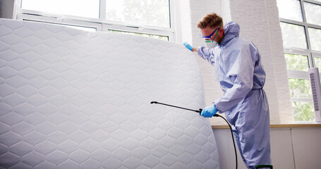 Pest Control Service. Bug Bed Treatment