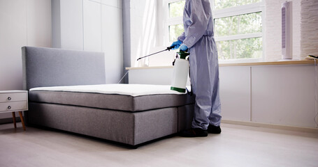 Pest Control Service. Bug Bed Treatment