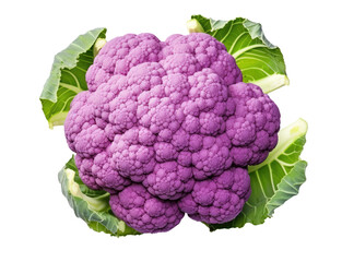 Purple cauliflower isolated on transparent background - obrazy, fototapety, plakaty