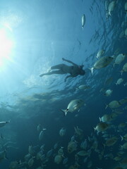 Fototapeta na wymiar lady swims underwater with bikini sun beams and rays