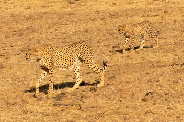 BOTSWANA - MASHATU trip