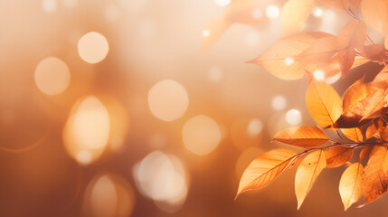 closeup of beautiful fall leaves on golden abstract autumn background in sunshine, blurred shiny...