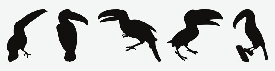 Exquisite Collection of Majestic Hornbill Silhouettes, A Comprehensive Set for Your Artistic Projects