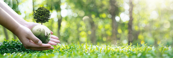 sustainable environment concept Human hand holding green globe with growing tree, save our planet,...