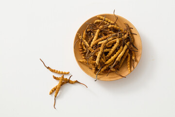 Minimal scene of a wooden dish containing Dried Cordyceps Sinensis over white background. Cordyceps...