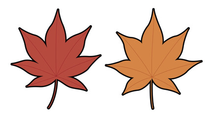 紅葉　もみじ　イラスト