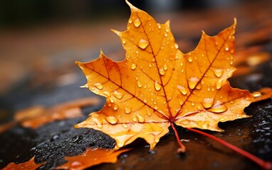 CloseUp of Autumn Maple Leaf on Rain Drenched Road Background. Generative AI