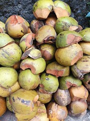 Discarded coconut husks on the street in Bali, Indonesia. They will be dried and shredded for coir fiber or burned for charcoal.