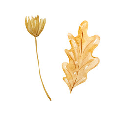 Obraz premium Watercolor set tender branch with leaves