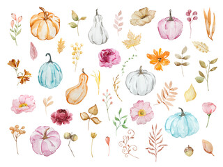 Watercolor autumn set with pumpkin and floral