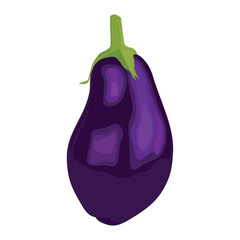 Vector illustration of single eggplant vegetable cartoon flat style. Eggplant isolated on white background. Organic natural food concept designed in purple of violet color. Solanum melongena vegetable
