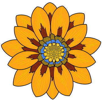 Sun Flower Illustration