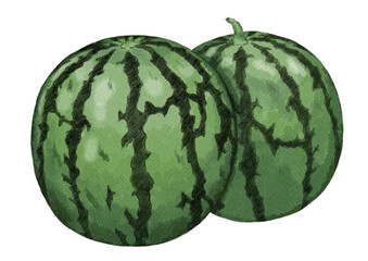 複数のスイカのイラスト（水彩風）
