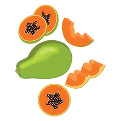 Vector illustration of set papaya fruit whole and sliced. Illustration in cartoon flat style, Carica papaya healthy food for diet vegan isolated white background. Elements for logo,