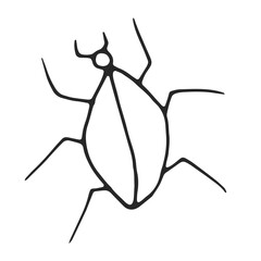 Beetle hand drawn, simple line drawing, black outline. Hand drawn, vector, on white background isolated. View from above.