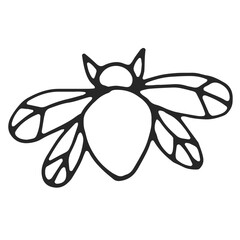 Beetle with wings, simple line drawing, black outline. Hand drawn, vector, on white background isolated. View from above.