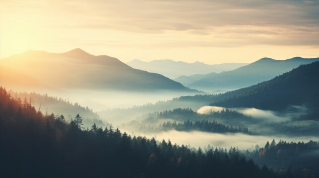 Beautiful landscape in the mountains at sunrise. View of foggy hills covered by forest. Filtered image:cross processed retro effect.