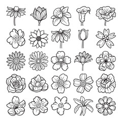 Flower hand drawn vector set - obrazy, fototapety, plakaty
