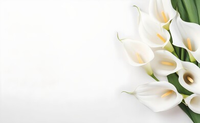 Wedding calla lily on white pastel background top view in flat lay style. Generative AI. 