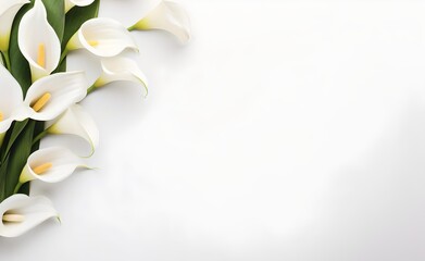 Wedding calla lily on white pastel background top view in flat lay style. Generative AI. 