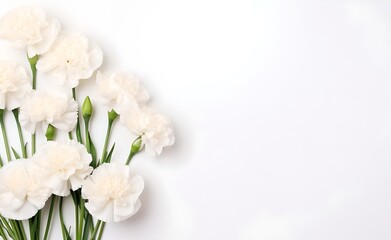 White carnations flowers on bright white pastel background top view in flat lay style. Greeting for Women's or Mothers Day or Spring Sale Banner. Generative AI. 
