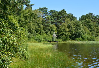 Landscape at Lake Grosser Bullensee, Lower Saxony