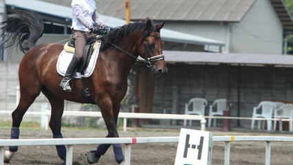 牧場で乗馬練習