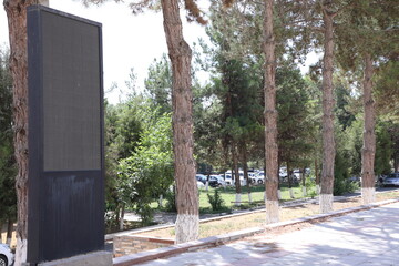 Parking lot with trees on the side of the road in Turkey