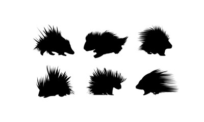 set of silhouettes of porcupines or porcupines in silhouette style.
