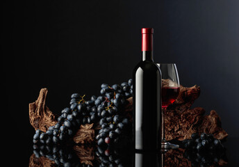 Bottle and glass of red wine with an old snag and blue grapes.
