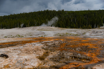 Geothermal pools at Old Faithful in Yellowstone National Park 