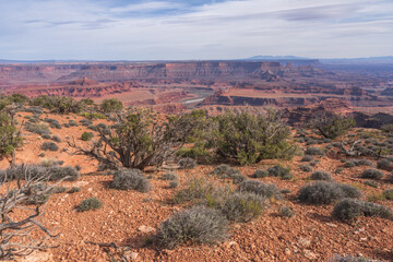 hiking the dead horse trail in dead horse point state park in utah, usa