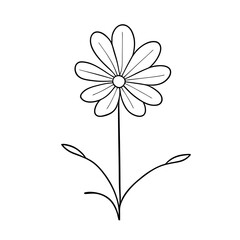 flower, vector illustration line art