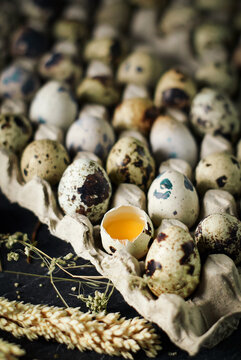 raw quail eggs in egg trays cardboard on dark and texture background. one egg are broken. fresh raw quail eggs in package for sale.
