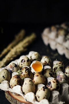 raw quail eggs in egg trays cardboard on dark and texture background. one egg are broken. fresh raw quail eggs in package for sale.