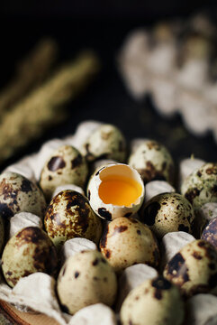 raw quail eggs in egg trays cardboard on dark and texture background. one egg are broken. fresh raw quail eggs in package for sale.