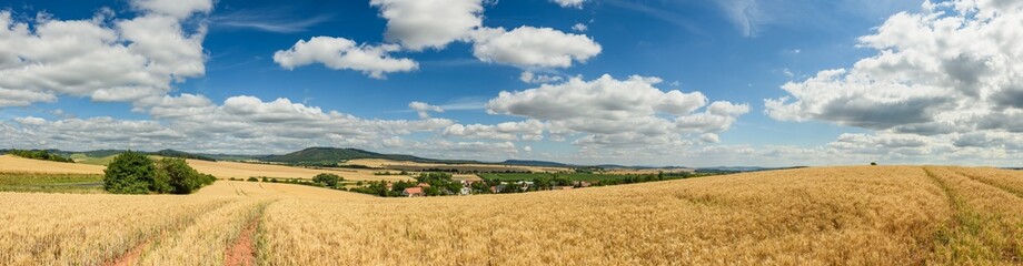 Fototapeta na wymiar panorama view of country side with grain fields