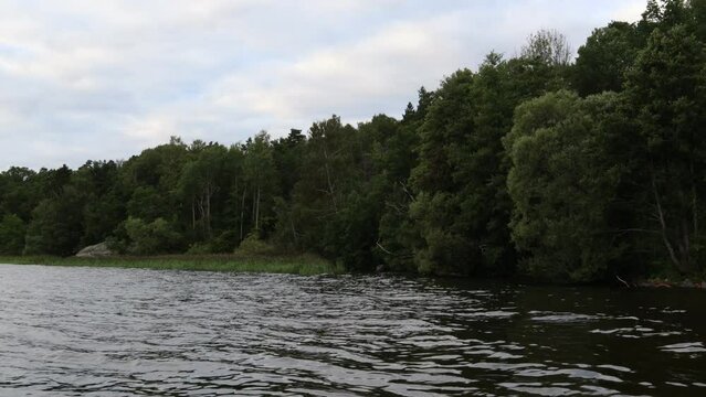 Swedish lake one evening i August 2023.