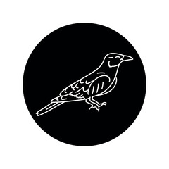 Coracias garrulus bird bird black line icon.