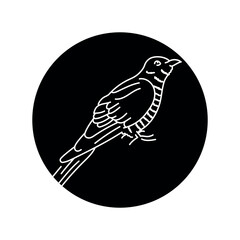 Cuckoo bird black line icon.