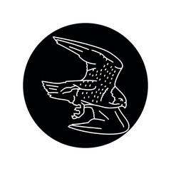 Falcon bird black line icon.
