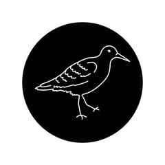 Sandpiper bird black line icon.