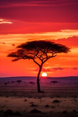 Fototapeta na wymiar Sunset View of a Tree in front of an African Landscape 