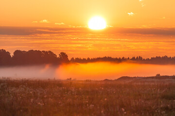 Foggy meadow at sunset