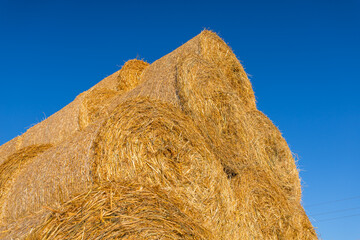 Piled hay bales on a field against blue sky