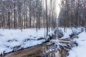 Frozen stream in winter forest
