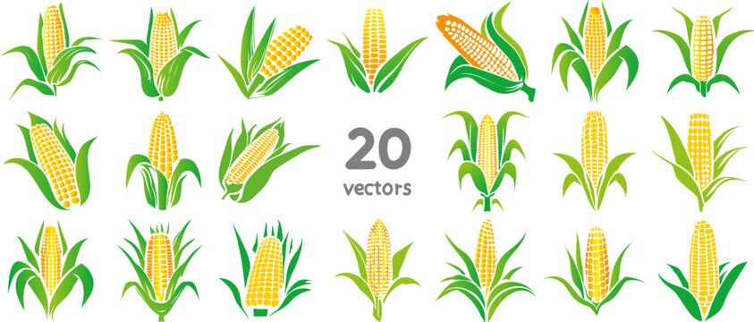 ripe corn collection of vector images of colored simple silhouettes