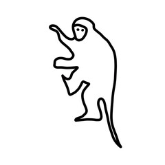 monkey animal doodle